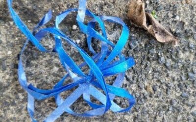 Lintjes en andere wormvormige aanhangsels…